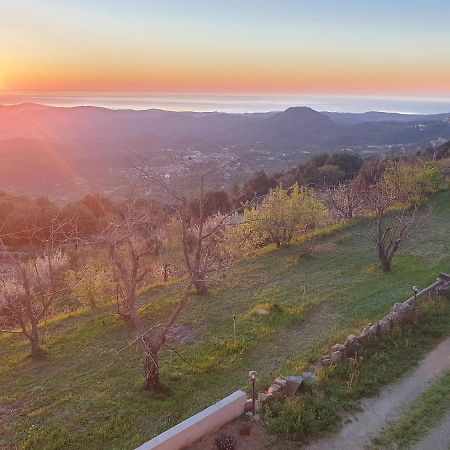 ホテル Oasi Del Benessere Ilbono エクステリア 写真