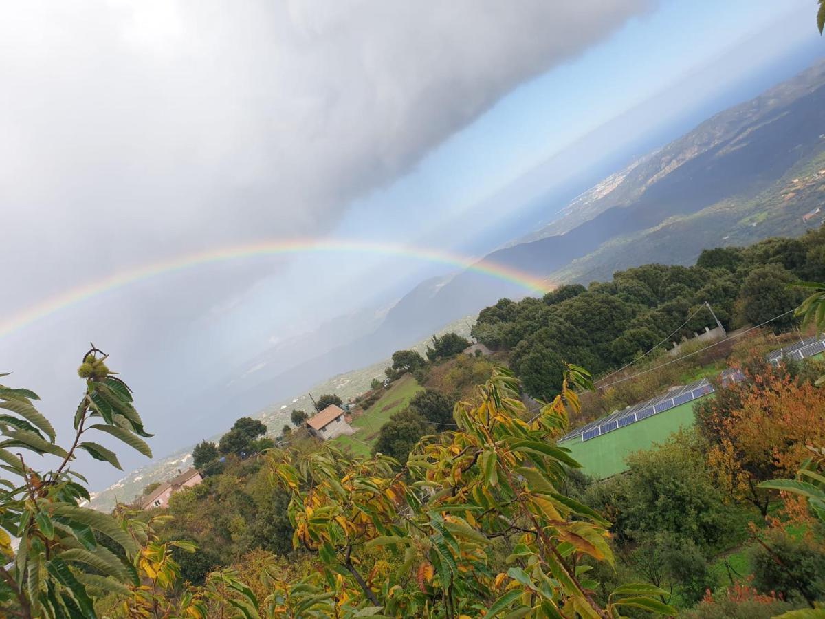 ホテル Oasi Del Benessere Ilbono エクステリア 写真