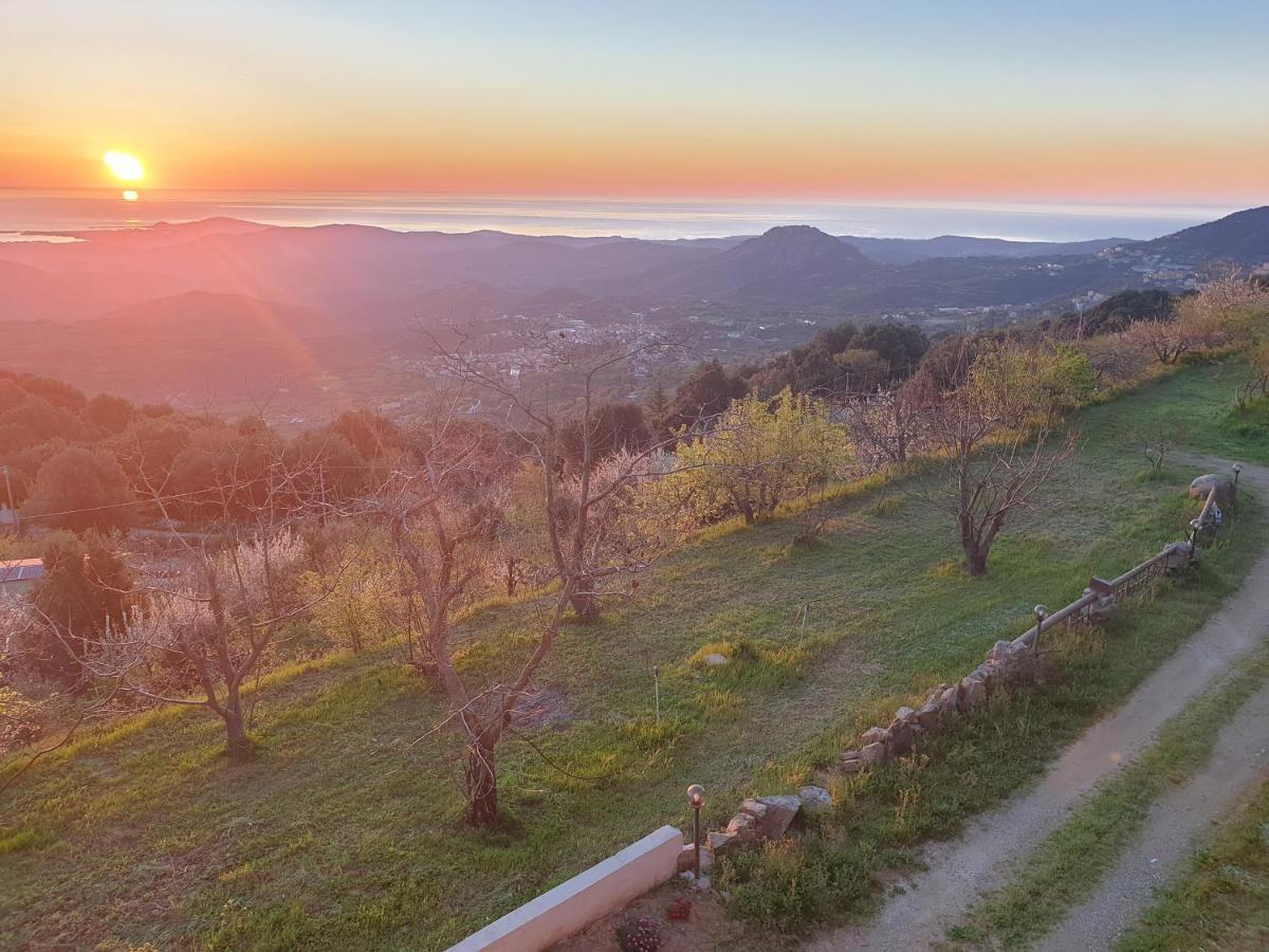 ホテル Oasi Del Benessere Ilbono エクステリア 写真