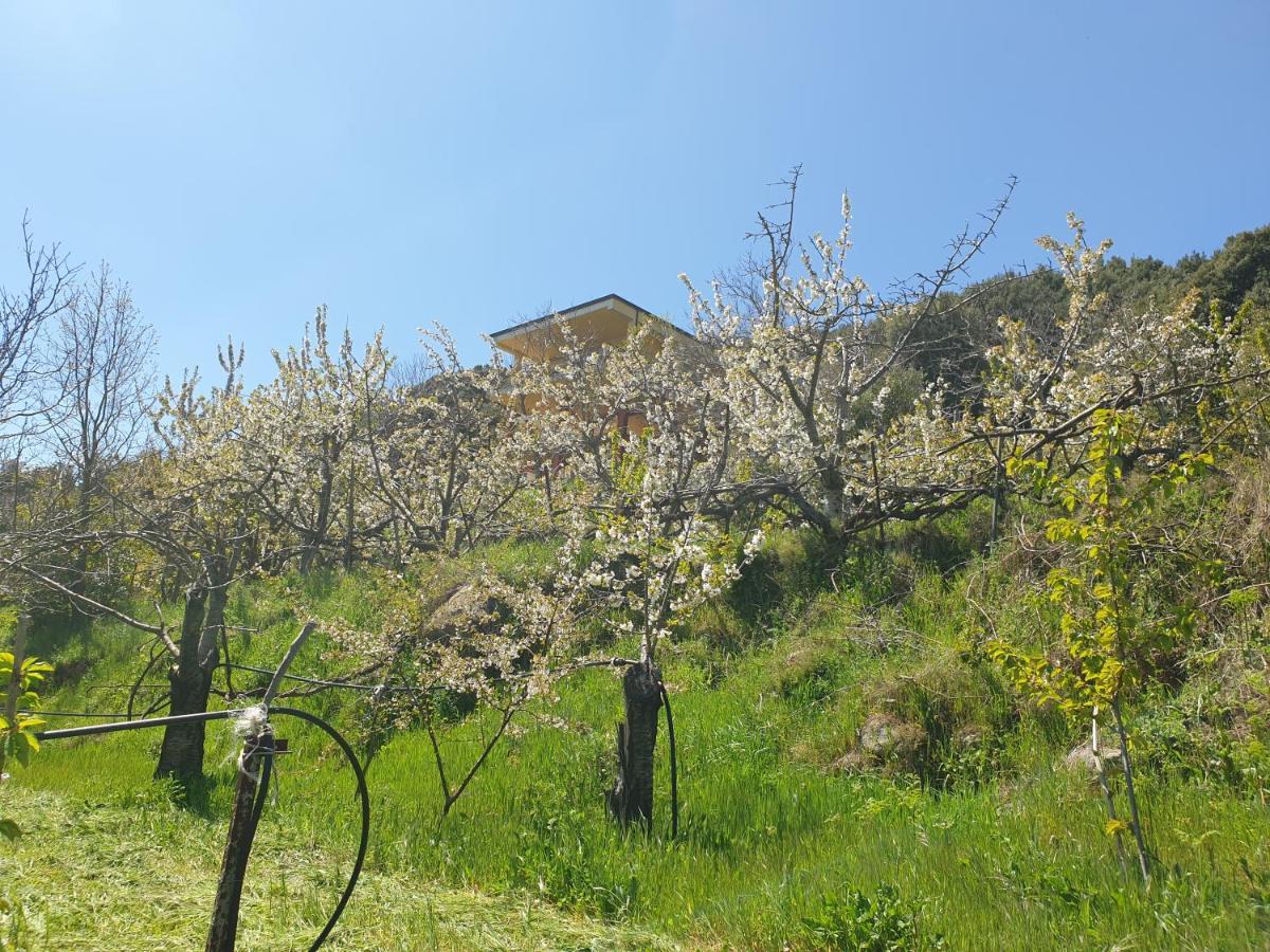 ホテル Oasi Del Benessere Ilbono エクステリア 写真